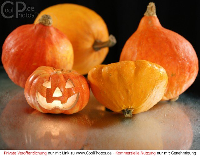 Bild Nr. 15 (Herbst) 

Kürbisse 
 
Aus der Kategorie Halloweenfotos