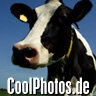 CoolPhotos.de - Photos und Grusskarten