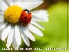 112. Geburtstag