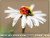112. Geburtstag