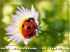 103. Geburtstag