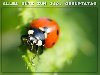 110. Geburtstag
