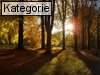 Fall