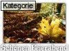 Sch�nen Feierabend