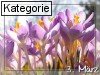 03. M�rz (Normale Tageskarten)