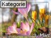 09. M�rz (Normale Tageskarten)