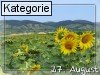 27. August (Normale Tageskarten)
