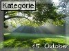 15. Oktober (Normale Tageskarten)