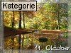 11. Oktober (Normale Tageskarten)
