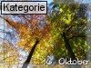 16. Oktober (Normale Tageskarten)