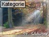 14. Oktober (Normale Tageskarten)
