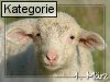 01. M�rz (Normale Tageskarten)