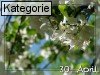 30. April (Normale Tageskarten)