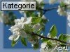 08. April (Normale Tageskarten)