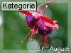21. August (Normale Tageskarten)