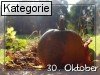 30. Oktober (Normale Tageskarten)