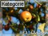 17. Oktober (Normale Tageskarten)