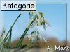 07. M�rz (Normale Tageskarten)