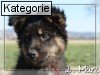 02. M�rz (Normale Tageskarten)