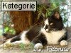 26. Februar (Normale Tageskarten)