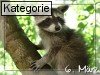 06. M�rz (Normale Tageskarten)