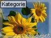 22. August (Normale Tageskarten)