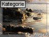 14. August (Normale Tageskarten)