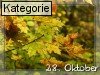 28. Oktober (Normale Tageskarten)