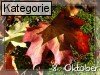 08. Oktober (Normale Tageskarten)
