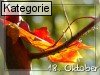 18. Oktober (Normale Tageskarten)