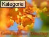 Dienstag