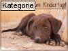 Weltkindertag (Deutschland: 20.9)