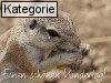 Weltkindertag (Deutschland: 20.9)