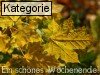 Sch�nes Wochenende