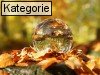 Herbstanfang (23.9.)