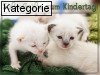 Weltkindertag (Deutschland: 20.9)