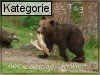 Tag der Zahngesundheit (25.9.)
