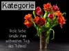 29. Februar (Normale Tageskarten)