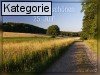 25. Juli (Normale Tageskarten)
