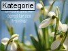 23. Februar (Normale Tageskarten)