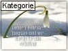 01. Februar (Normale Tageskarten)