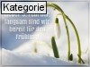 03. Februar (Normale Tageskarten)