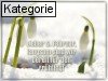 05. Februar (Normale Tageskarten)