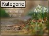 17. Februar (Normale Tageskarten)