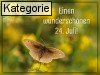 24. Juli (Normale Tageskarten)