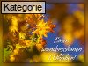 01. Oktober (Normale Tageskarten)