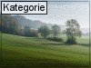 Montag