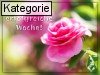 Wochenkarten