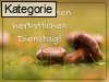 Dienstag