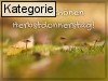 Donnerstag